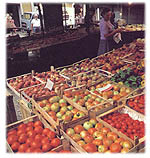 marche.jpg (23435 bytes)