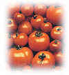 tomate.jpg (11166 bytes)